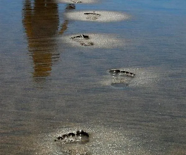 Arenas Lägenhet El Médano